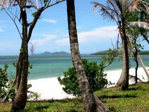 Roatan Island Beauty