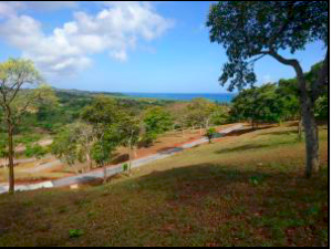 Roatan Homesite